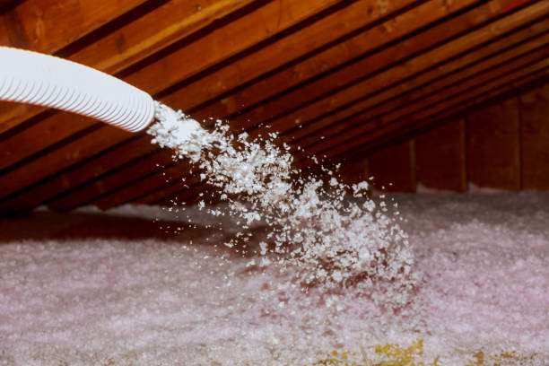 Best Insulation Installation Services in Cloverdale, VA